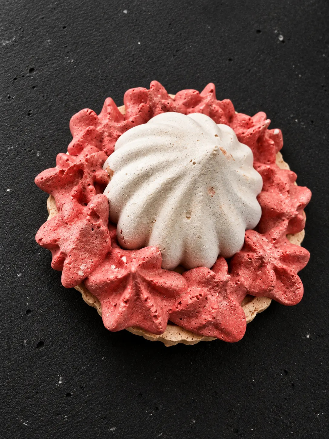 Terrazzo Coral Reef Bloom Paper Weight