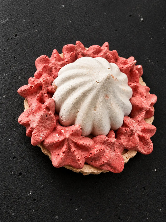 Terrazzo Coral Reef Bloom Paper Weight